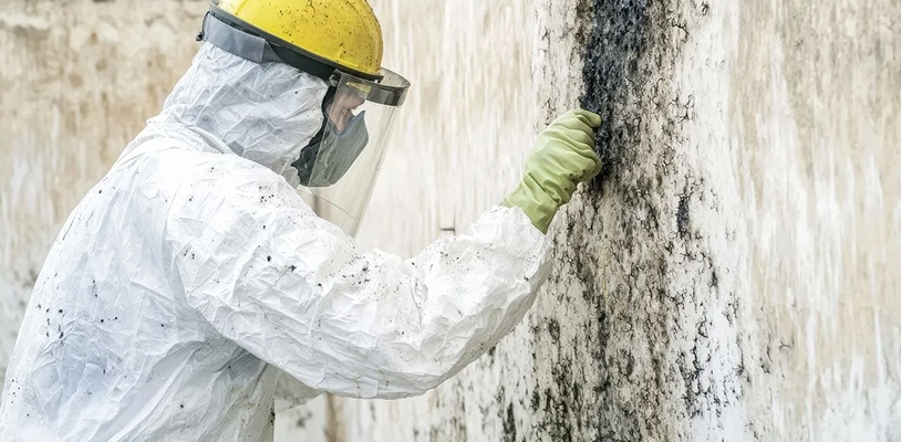 How Can Mold Inspection Support First-Time Buyers?