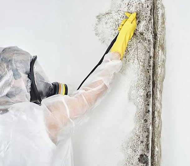 Mold Inspection in Duval County FL