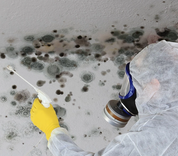 Mold Inspection in Green Cove Springs FL
