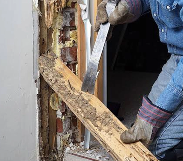 WDO Inspection Services in Green Cove Springs, FL